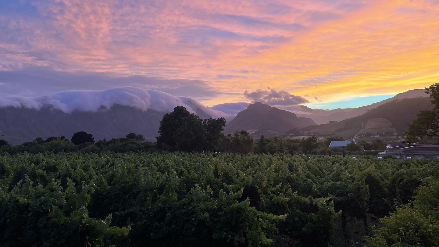 Black Elephant Vintners Wine Farm