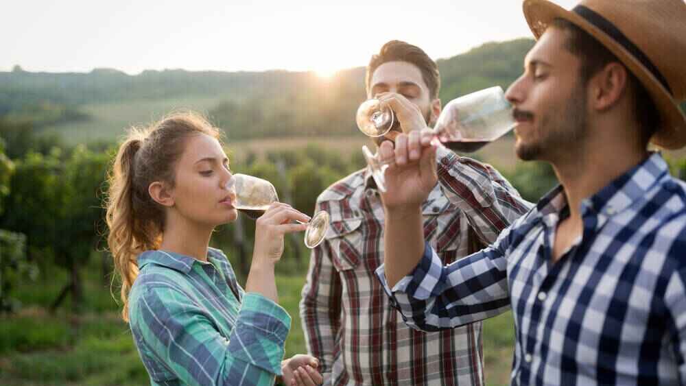 Wine Tasting in The Breede River Valley
