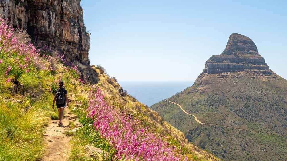 Flora and Fauna on Lions Head