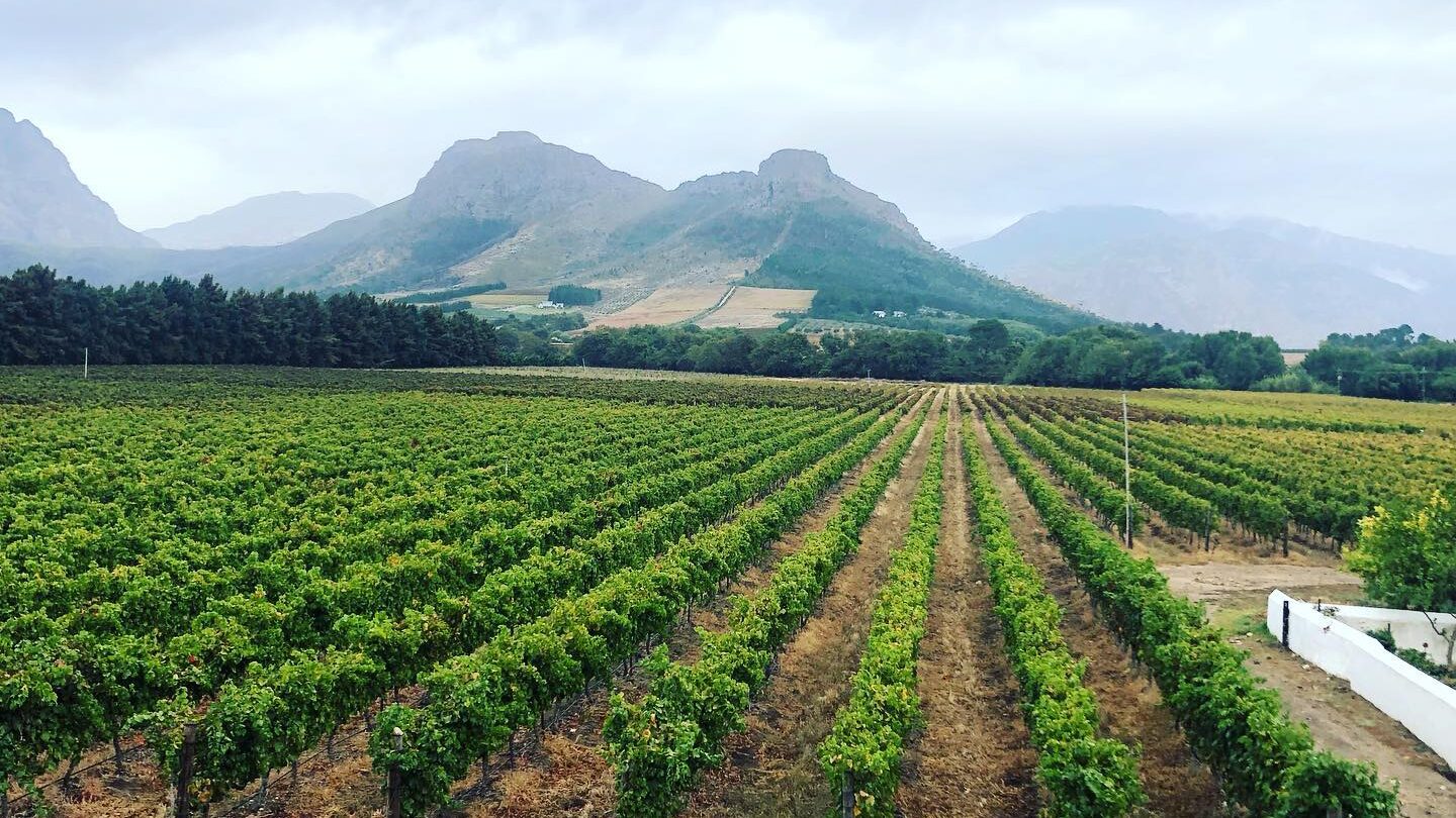 La Bri Wine Farm