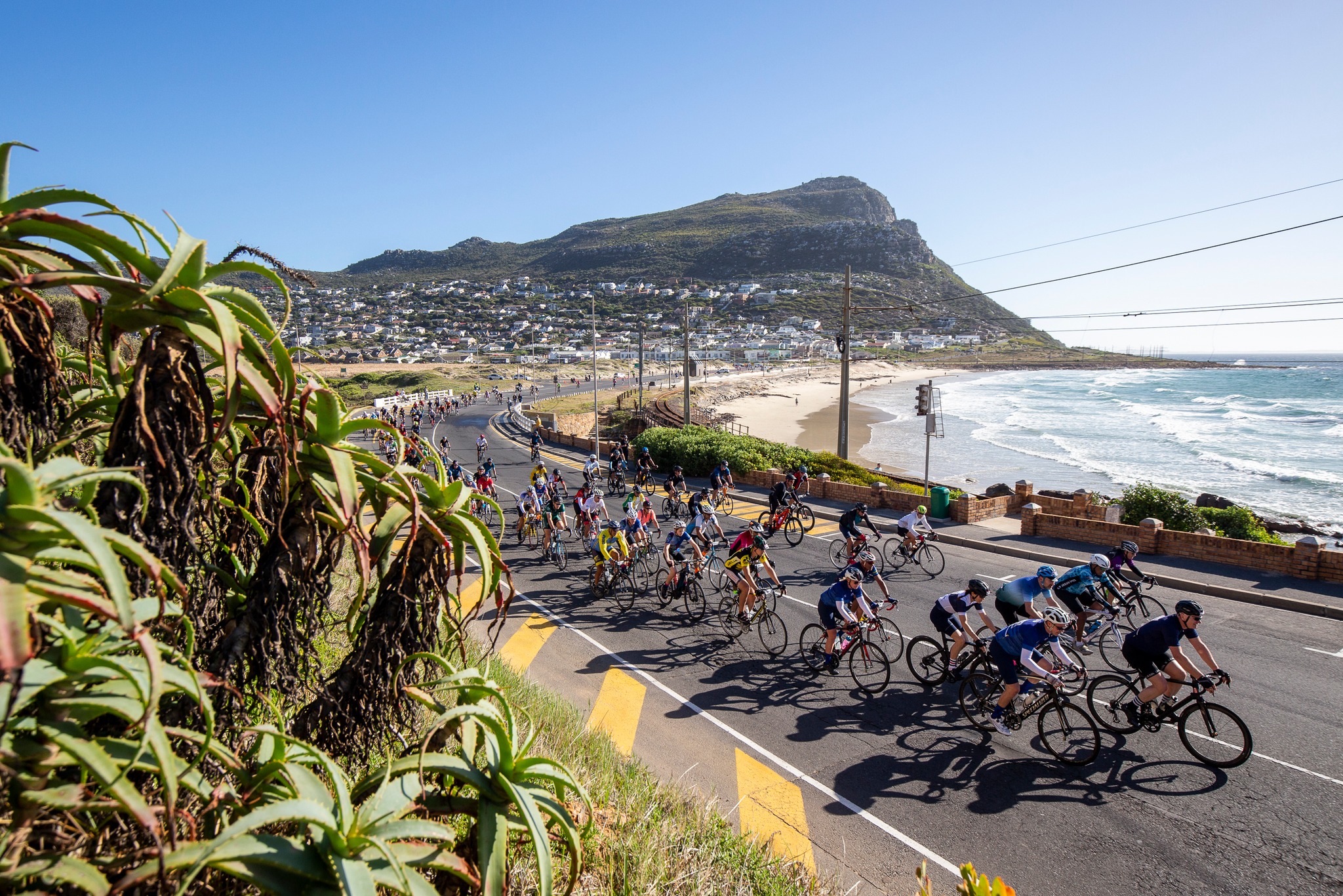 The Cape Town Cycle Tour 2025 Cape Tourism the-cape-town-cycle-tour-2025-cape-tourism