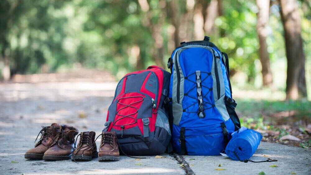 What to Bring With You on The Hike up Lions Head