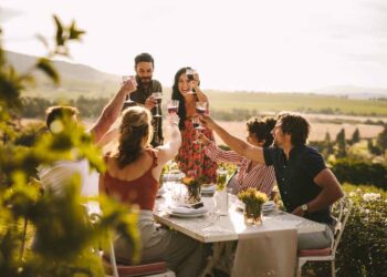 best wine farms in franschhoek