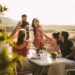 best wine farms in franschhoek