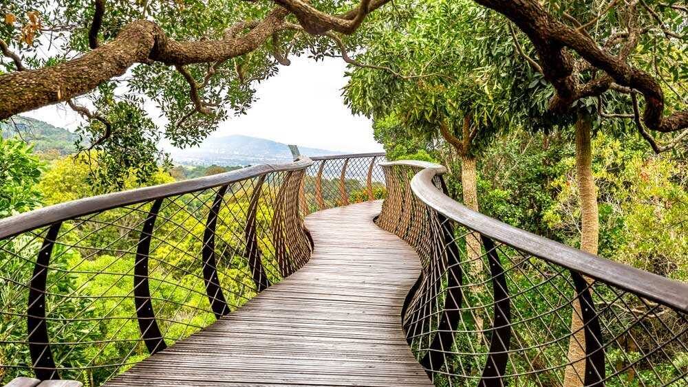 Kirstenboch Tree Canopy Walkway Cost