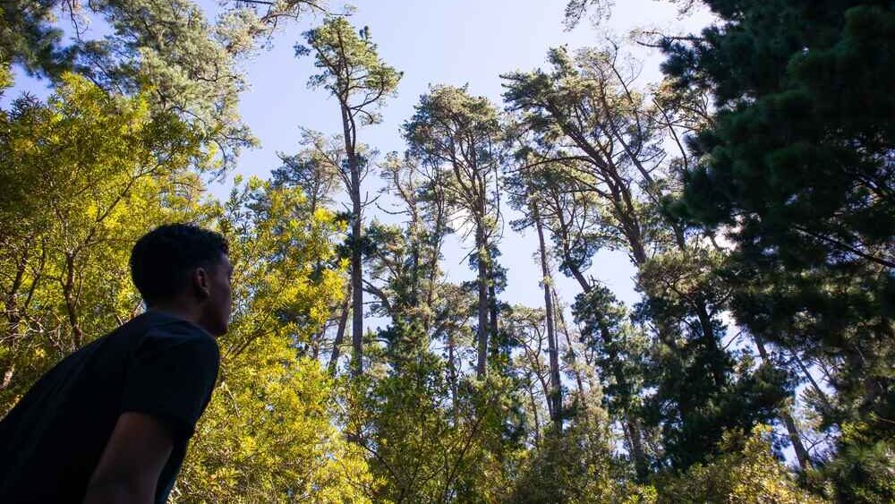 Newlands Forest Human Rights Day