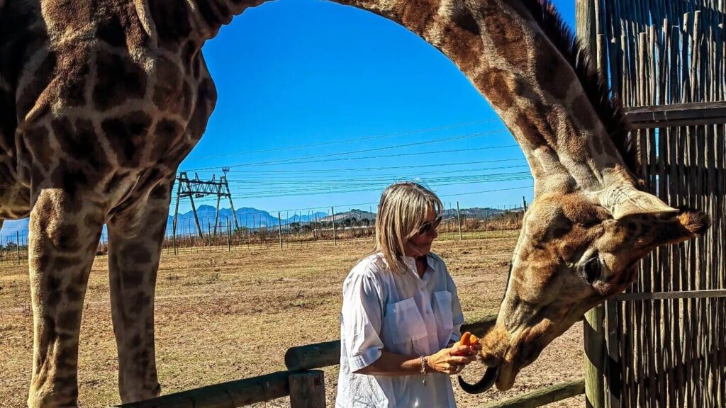 The Giraffe House Wildlife Awareness Centre