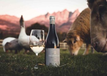 bosman wines