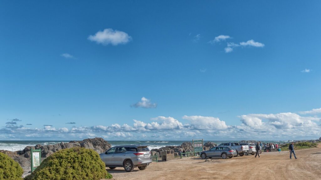 braai or picnic at Tsaarsbank
