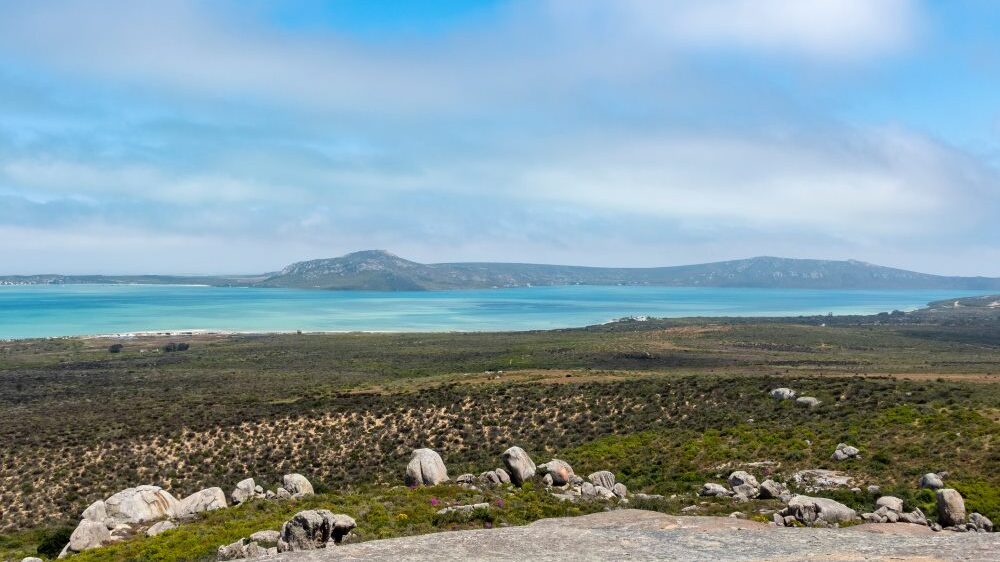 view of the Park at Seeberg Viewpoint
