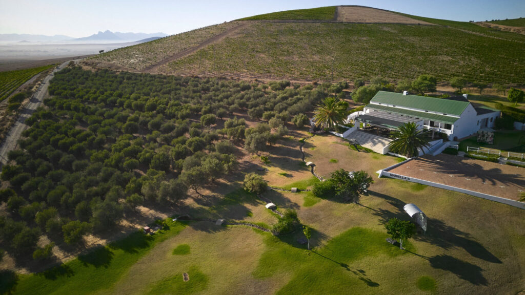 Capaia Wines
