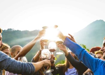 Stellenbosch Wine Farms