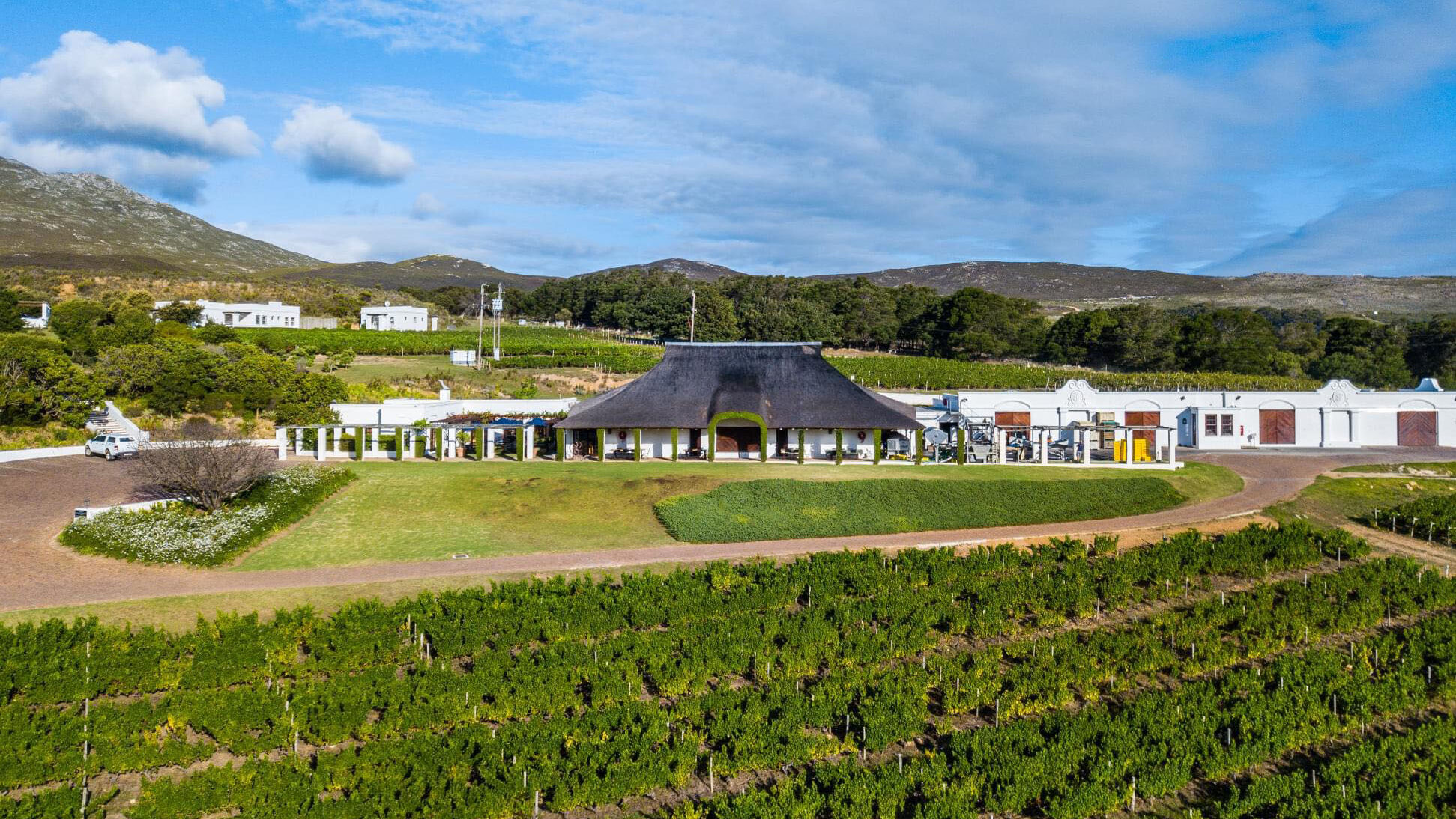 Bouchard Finlayson vineyards