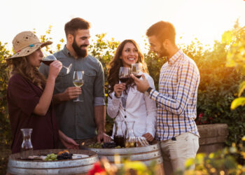durbanville wine farms