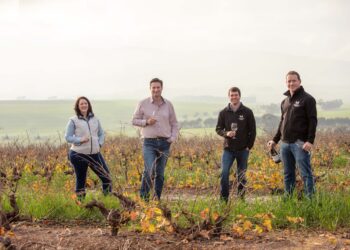 perdeberg winery