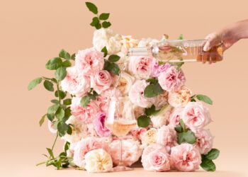 Babylonstoren wine