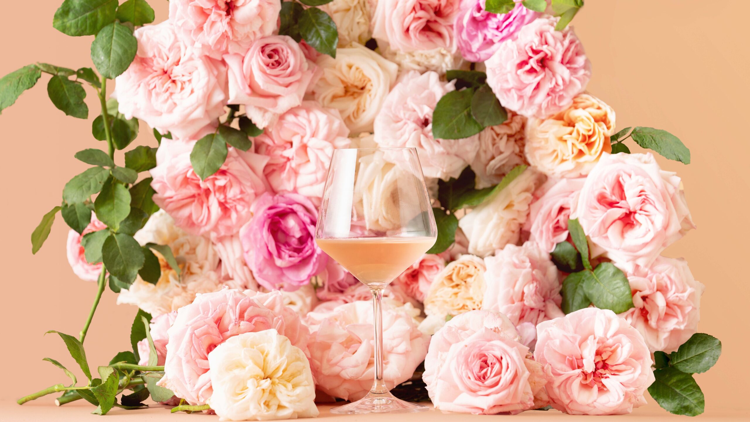 Babylonstoren Wines