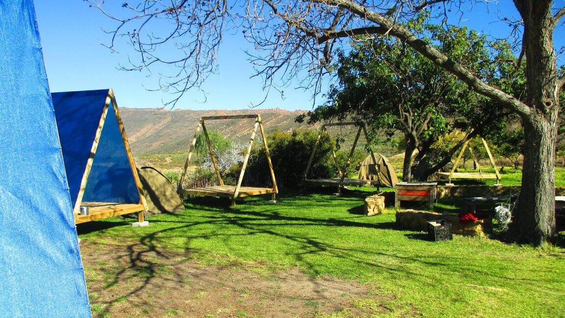 Cederberg Oasis