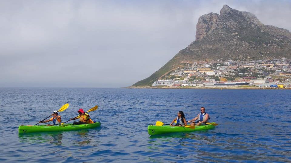 Kayak Adventures