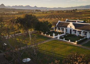 Vergenoegd Löw Wine Estate