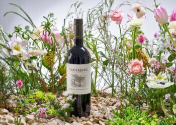 cederberg wines