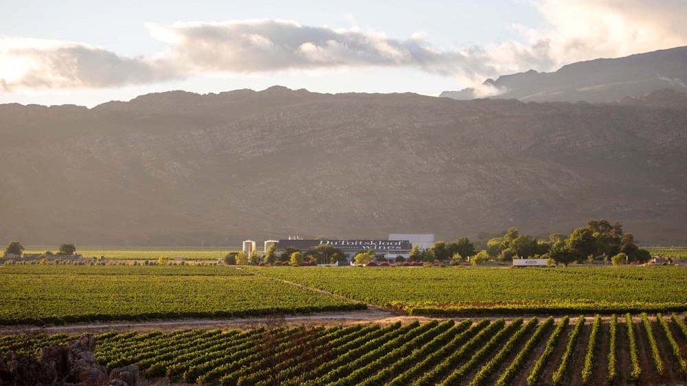 Du Toitskloof Vineyards