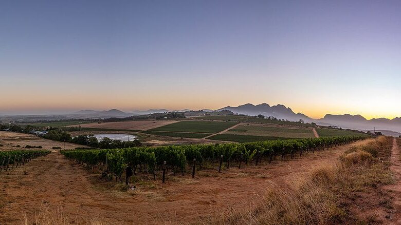 Hartenberg Wine Estate