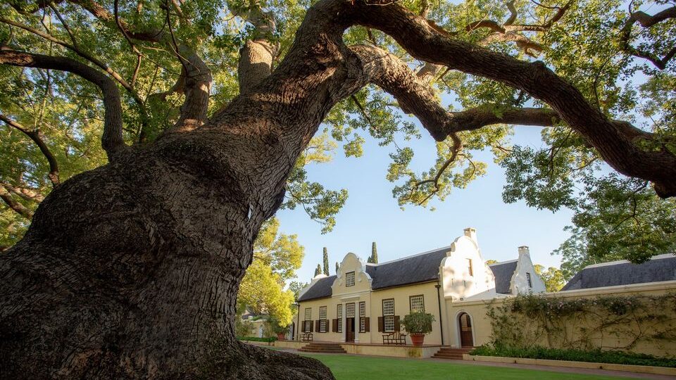 Vergelegen Wine Estate