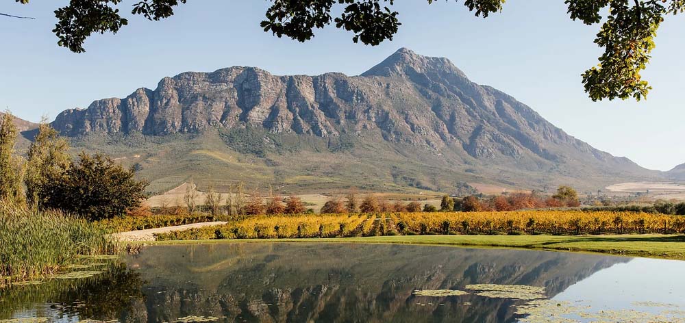 Saronsberg Wine Estate Intro the Winemaker