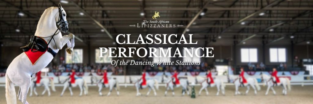 South African Lipizzaners Classical Performance
