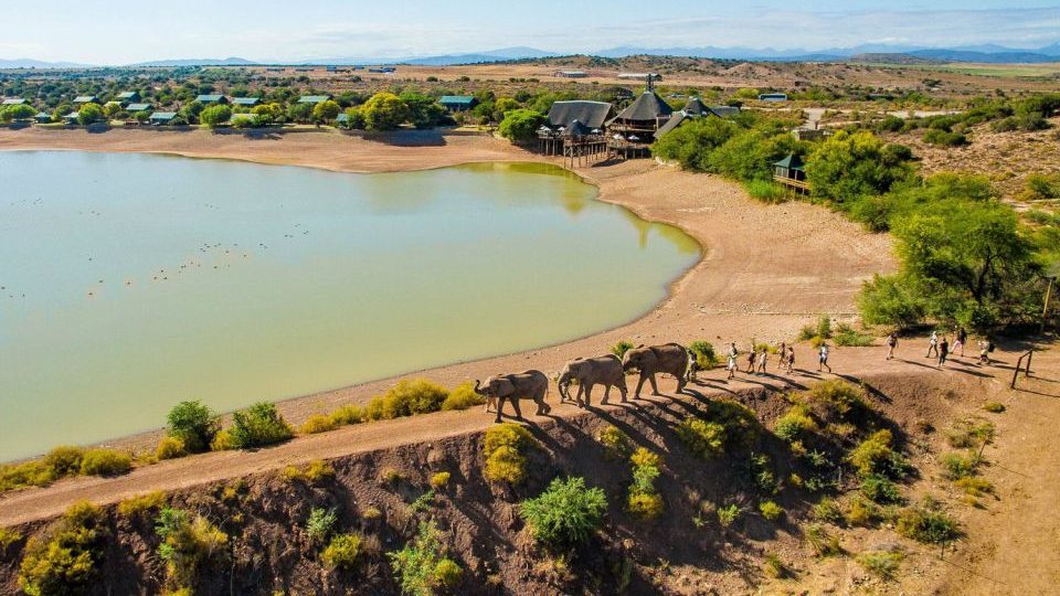 South African Wildlife and Safari 2-Day Tour