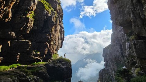Table Mountain Hike with an Expert Guide