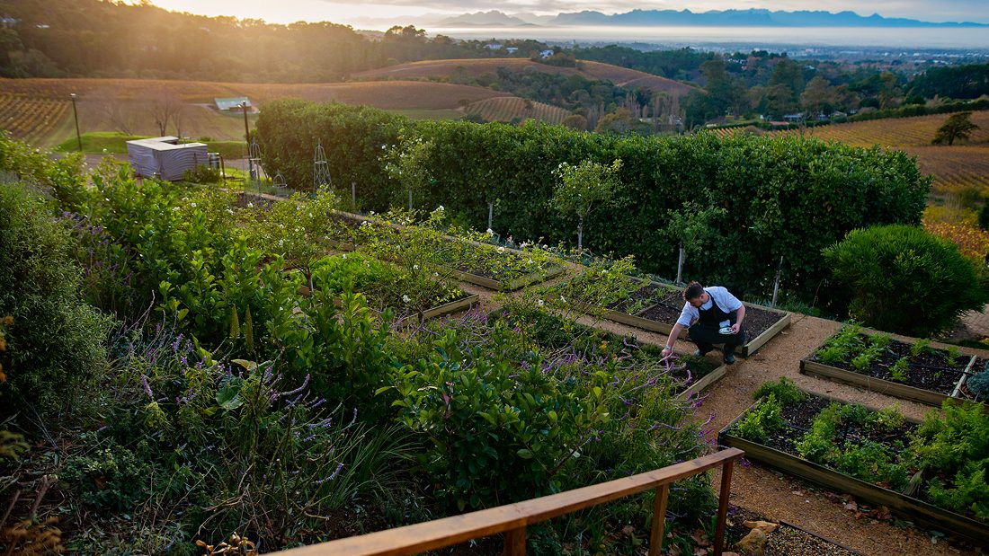 Chefs Warehouse Beau Constantia