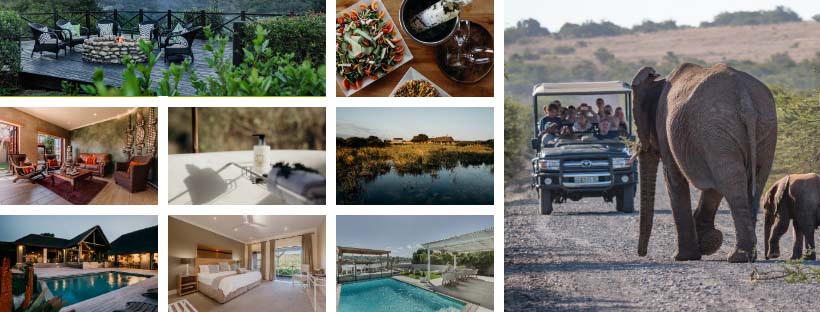 Big 5 Safari in the Eastern Cape