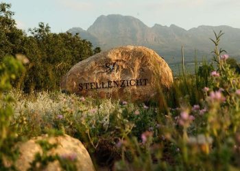 Stellenzicht