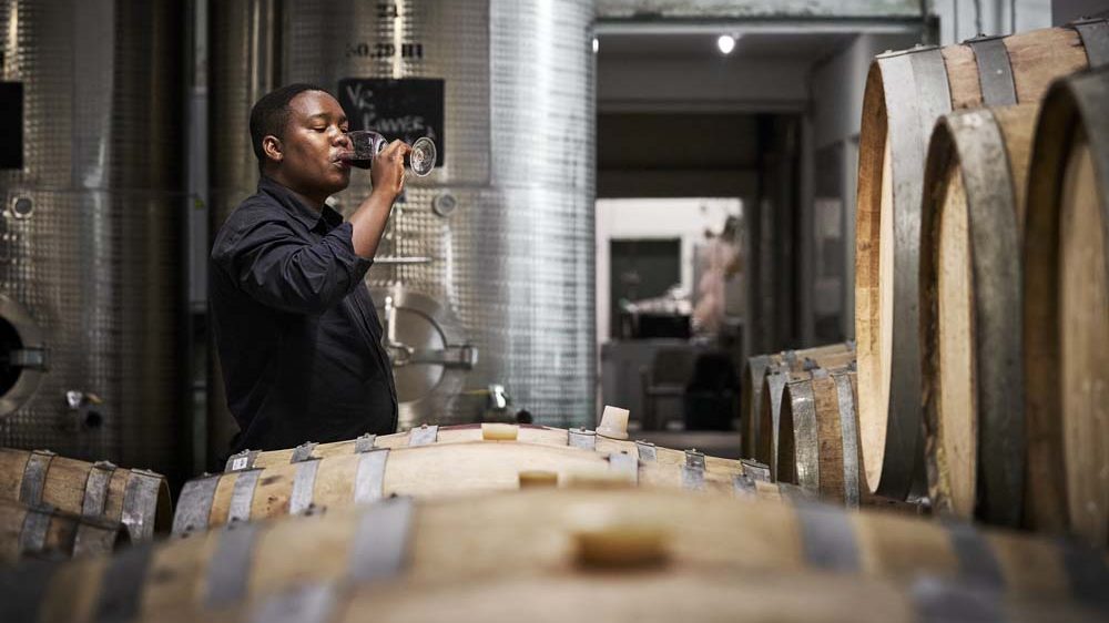 Winemaker Vusi Dalicuba