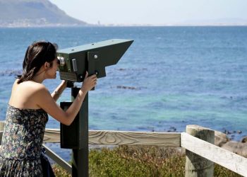 Cape Town sightseeing