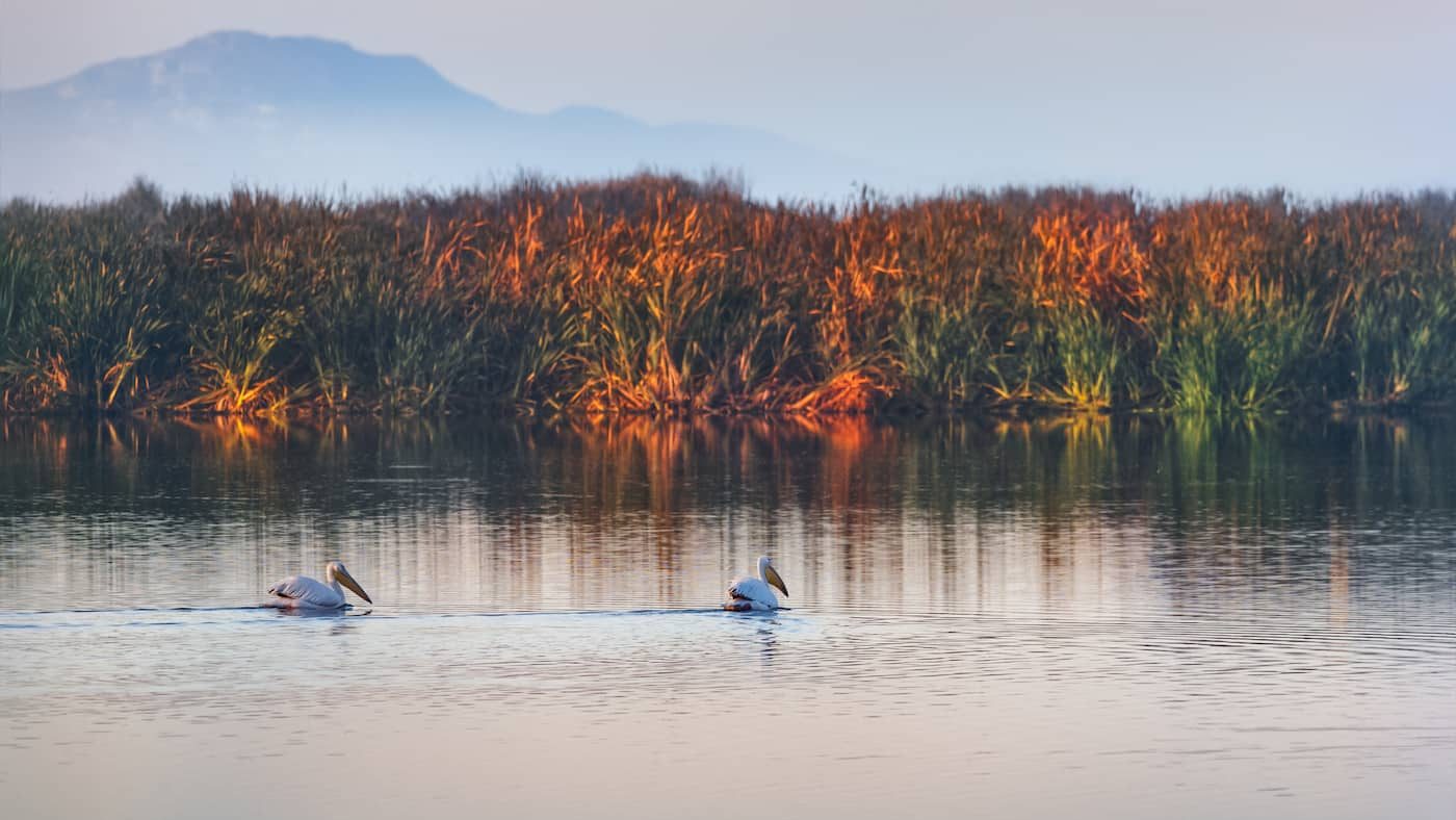 Cape town Natural Wonders - False Bay Nature Reserve