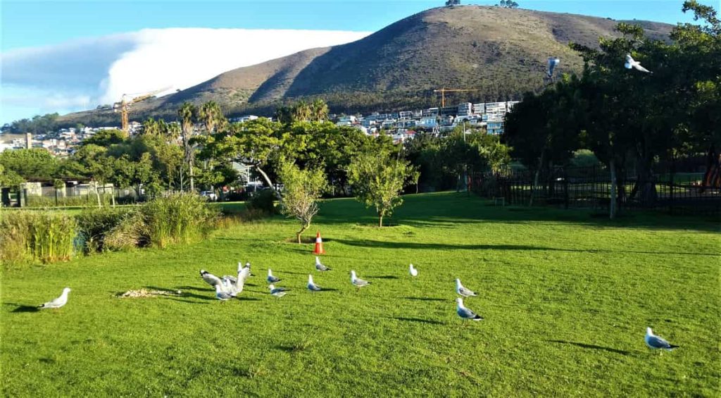 Green Point Park
