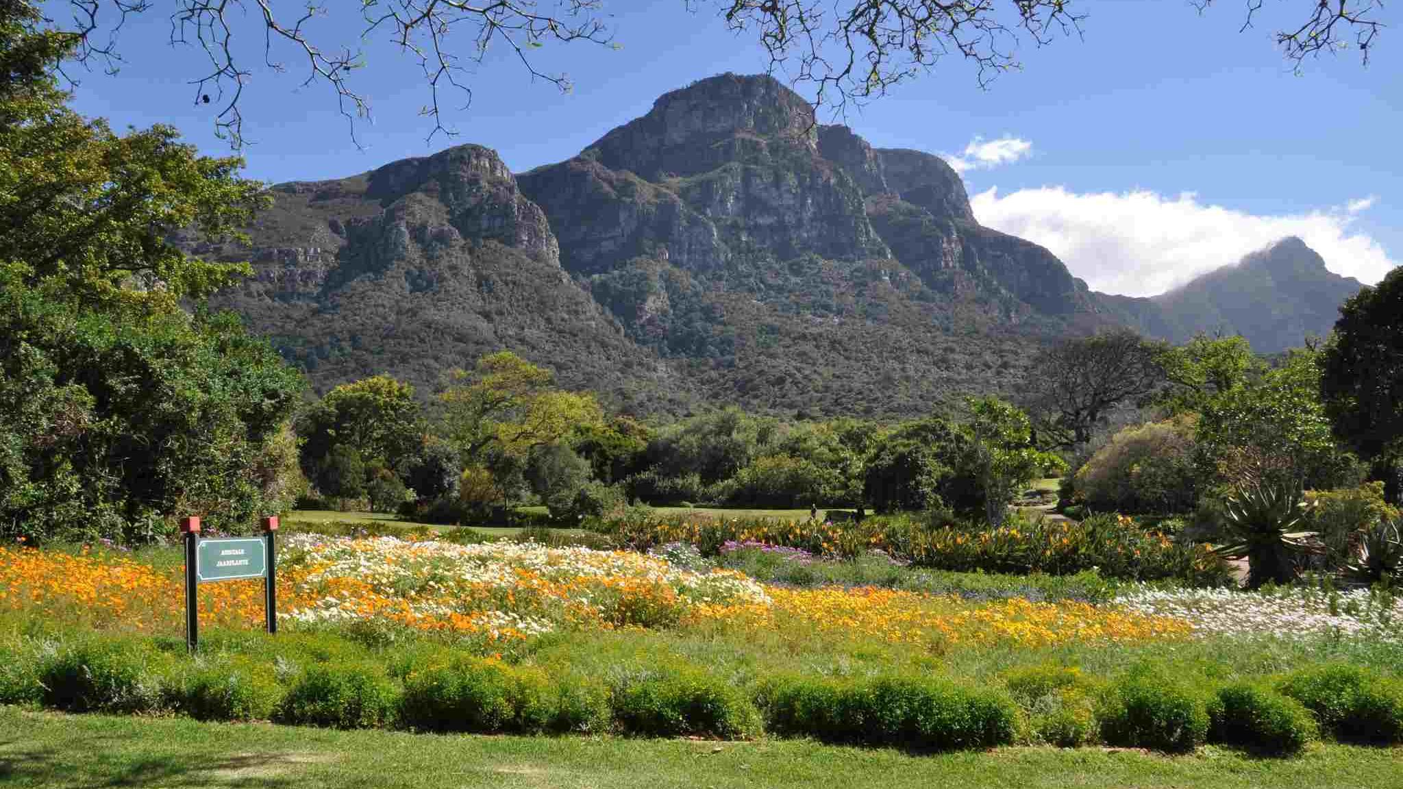 Kirstenbosch National Botanical Garden