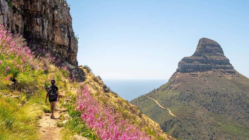 Lion’s Head