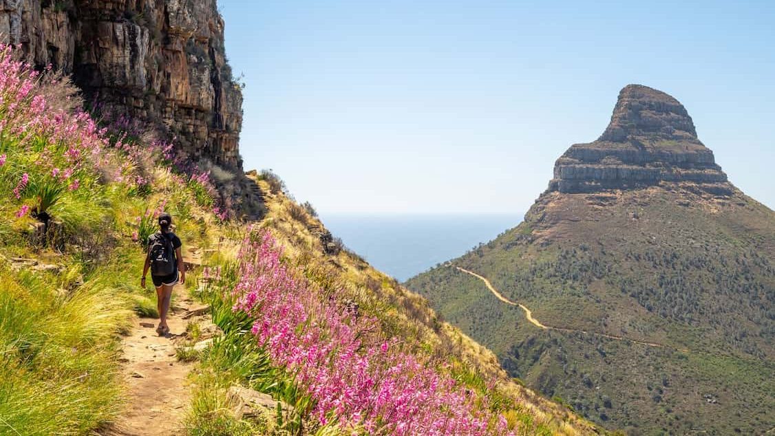 Lions Head