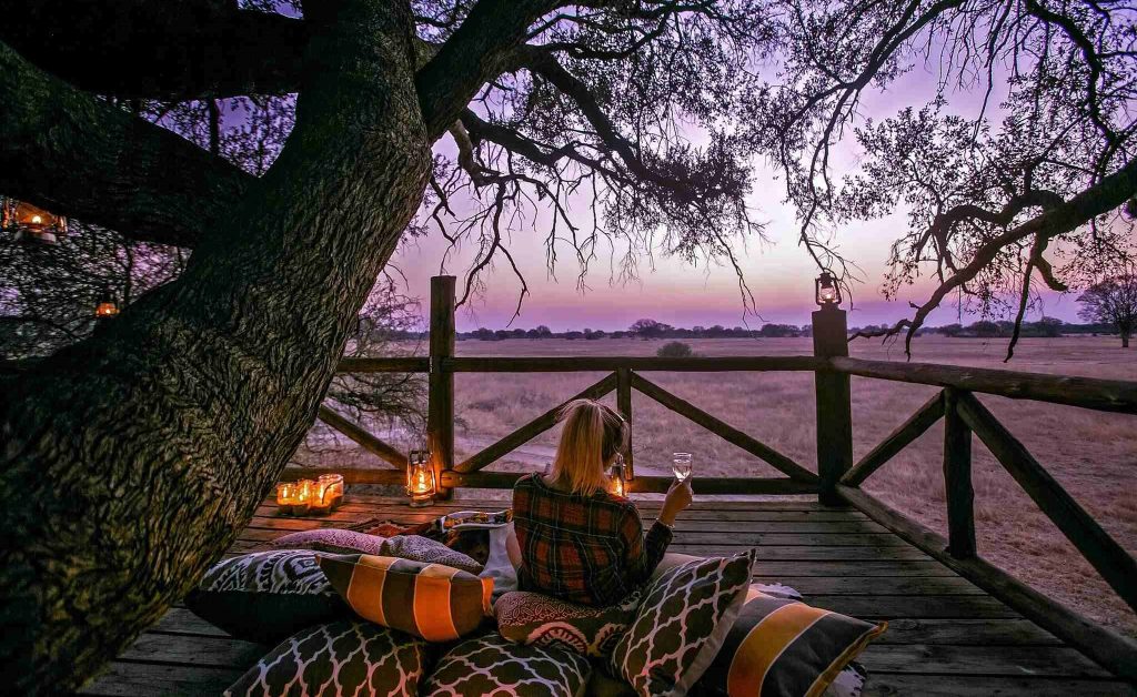Discover Southern Africa this Summer with Scintilla Travel (2024)