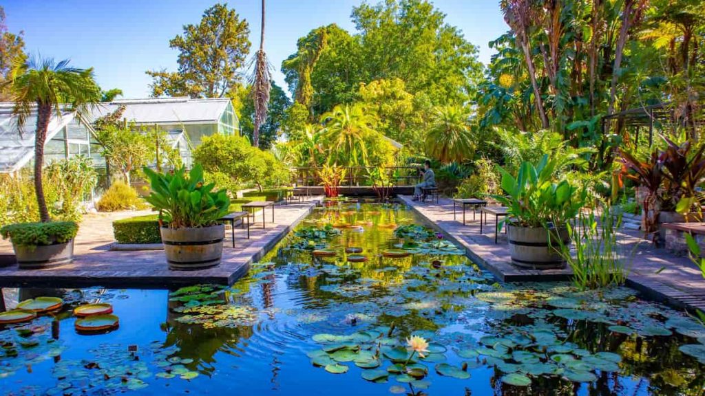 Stellenbosch University Botanical Garden