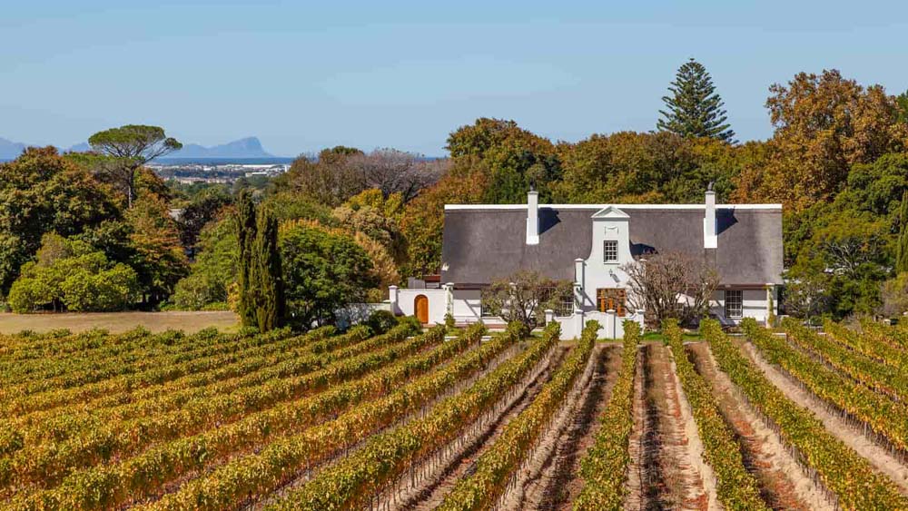 Groot Constantia