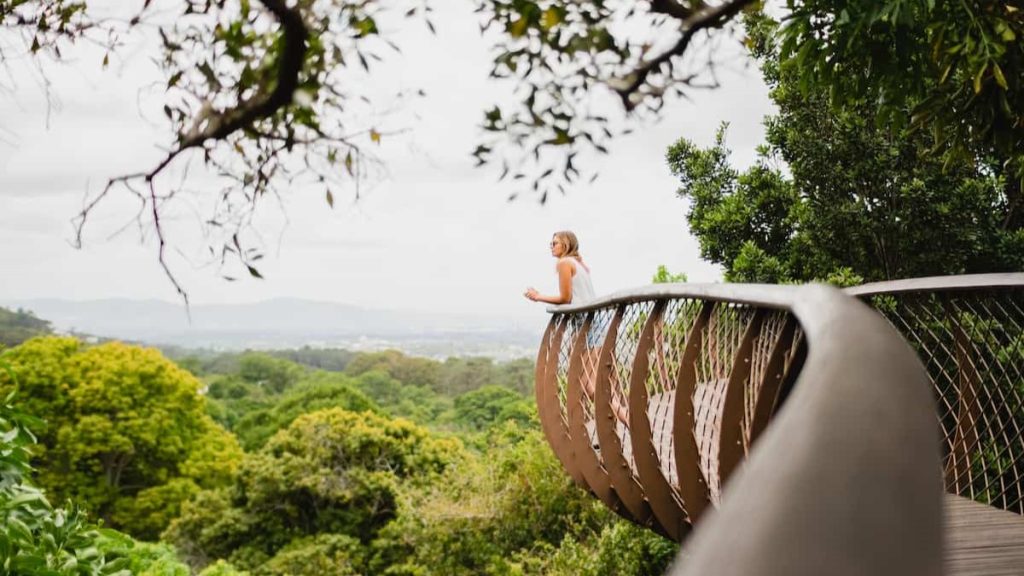 Kirstenbosch National Botanical Garden's Treetop Canopy Walkway