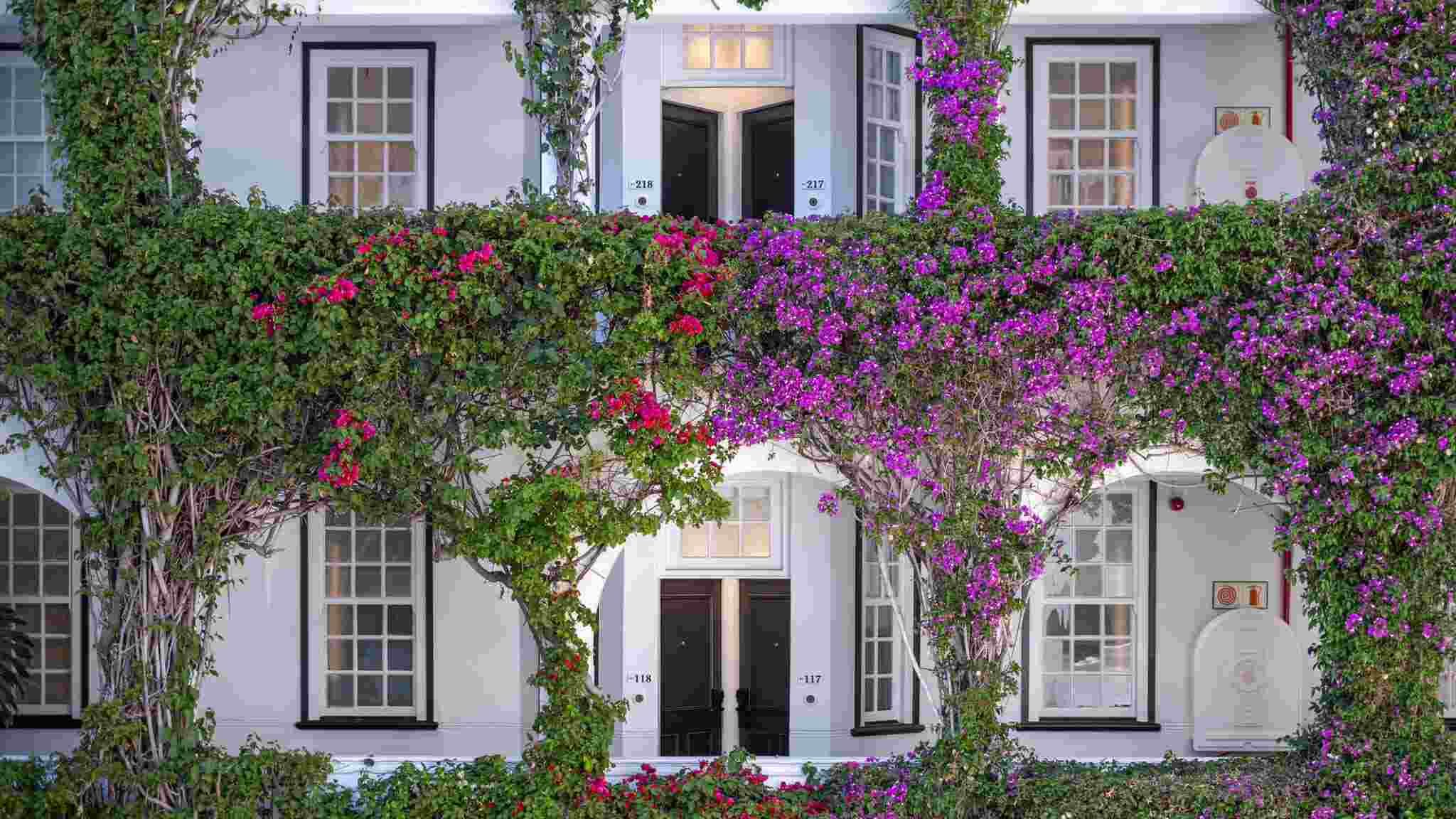 The Winchester Hotel