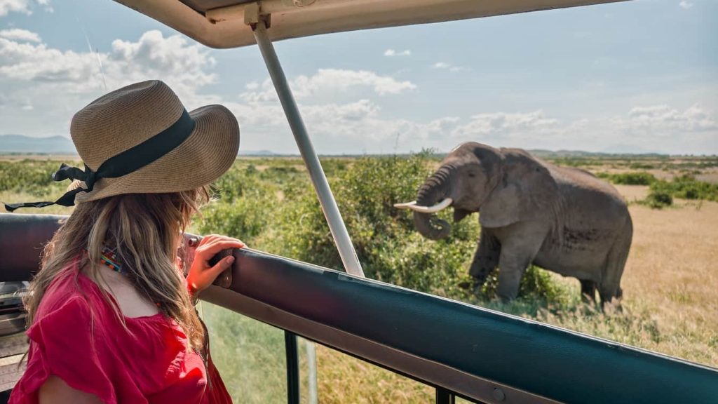 Top Wildlife Reserves in Cape Town You Need to Visit (2025)