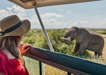 Woman at Cape Town wildlife reserve