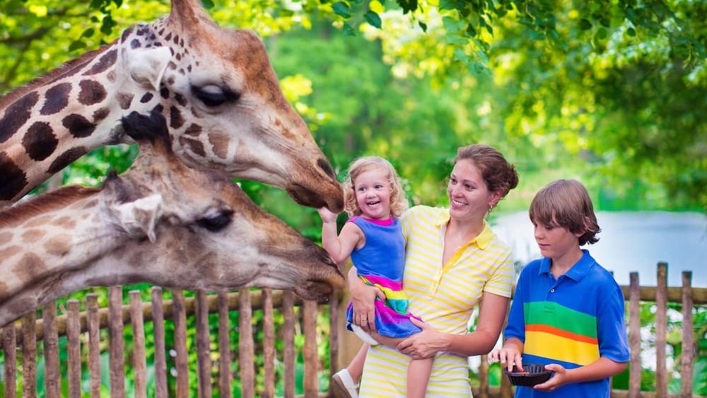 BeyondAfrica Safari's Cape Town Family Tour